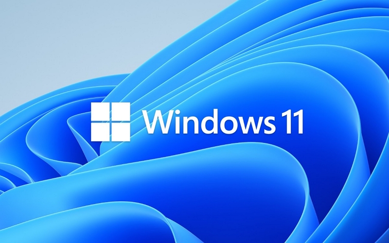 Windows 11 Pro for Workstations 21H2 DD 镜像